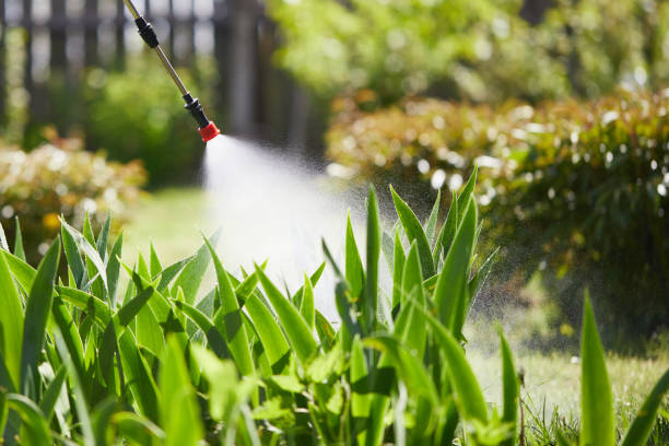 24/7 Emergency Termite Control experts in Pikeville, TN