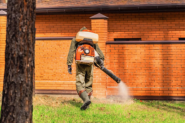 Trusted Cockroach Control service in Pikeville, TN - Nex Pest Control